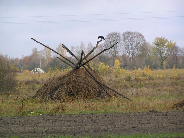 Ушиця з panoramio.com - Ushytsya
