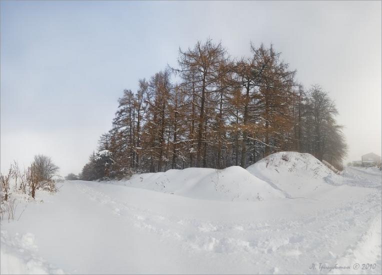 Мишковичі з panoramio.com - Мышковичи