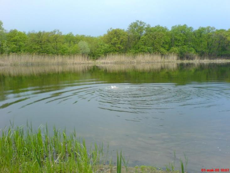 Борівське з panoramio.com - Боровское