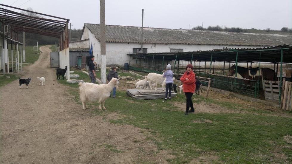 Лазарівка з panoramio.com - Лазарівка