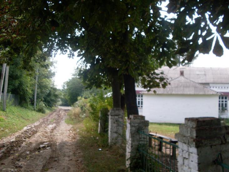 Шура-Мітлинецька з panoramio.com - Шура-Мітлинецька