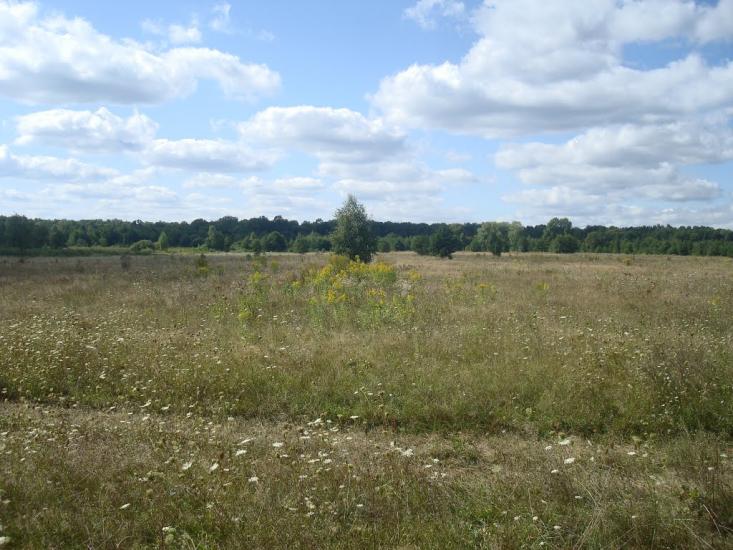 Михайлючка з panoramio.com - Михайлючка