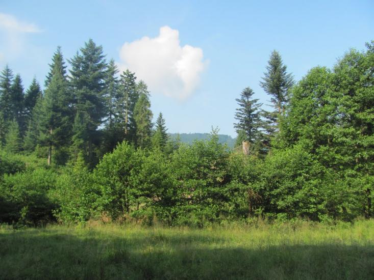 Труханів з panoramio.com - Труханів