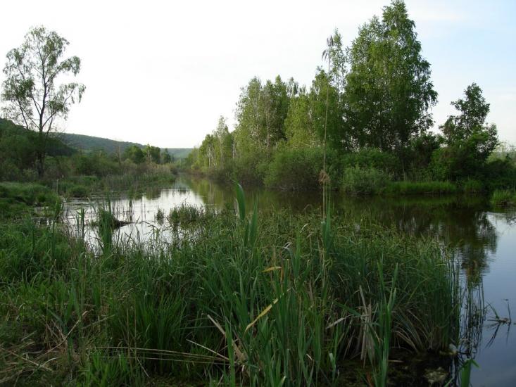 Старосілля з panoramio.com - Староселье