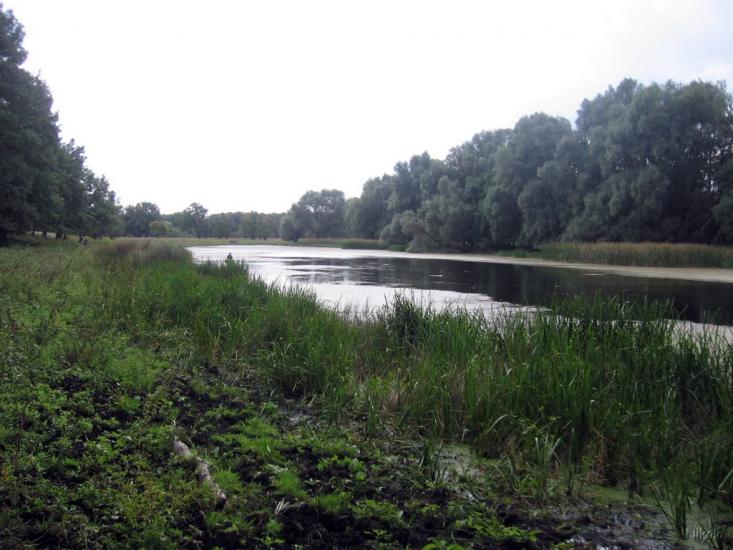 Нижнє з panoramio.com - Nyzhnye