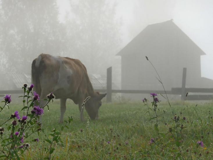 Ільці з panoramio.com - Ильцы