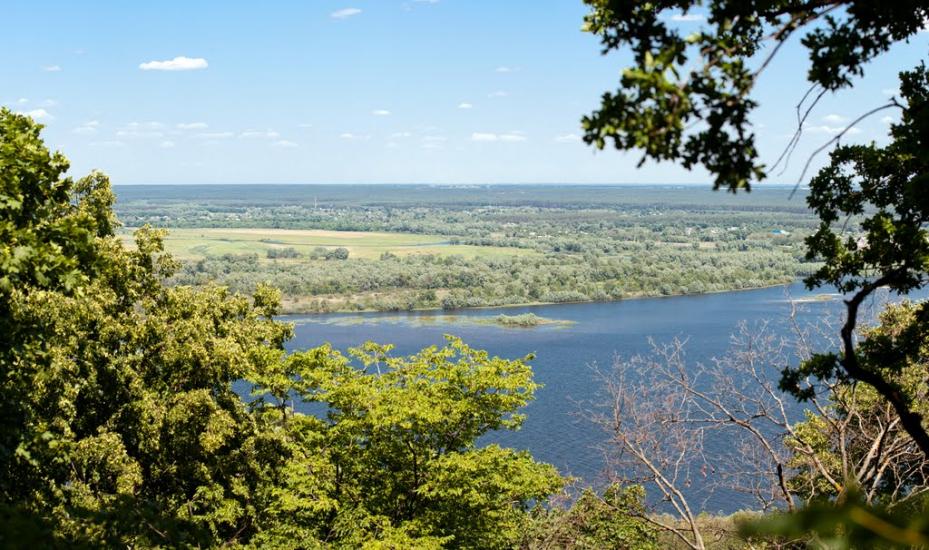 Пекарі з panoramio.com - Пекарі