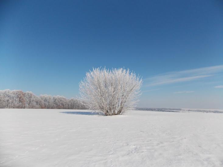 Млинки з panoramio.com - Млынки