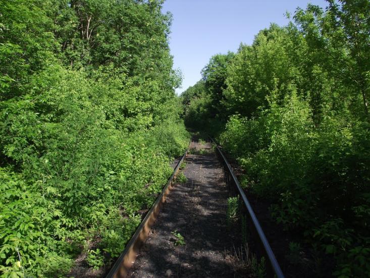 Калінінський з panoramio.com - Калининский