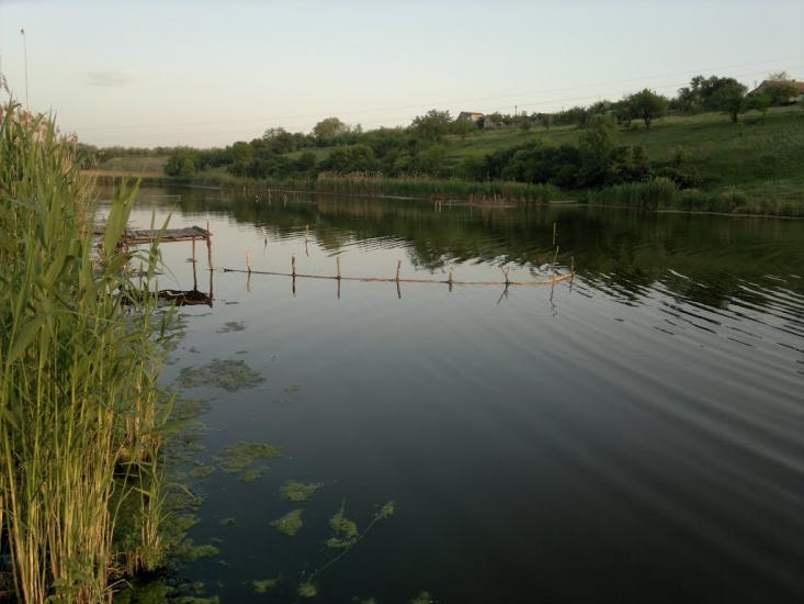 Сурсько-Клевцеве з panoramio.com - Сурсько-Клевцеве