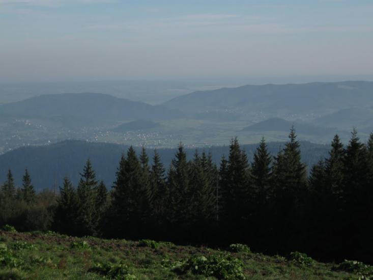 Чорні Ослави з panoramio.com - Чорні Ослави