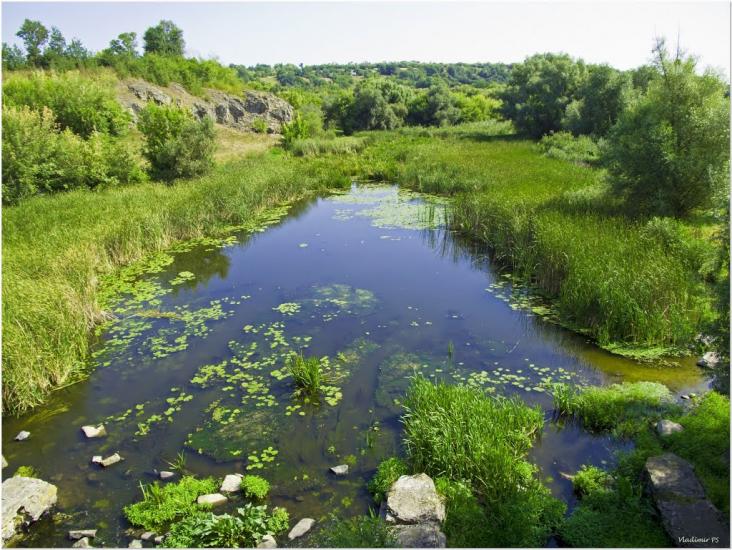 Буки з panoramio.com - Буки