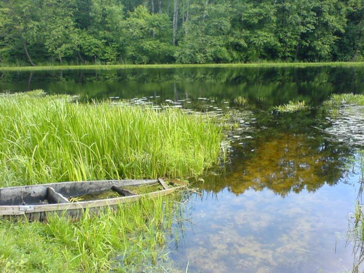 Гірки з panoramio.com - Горки
