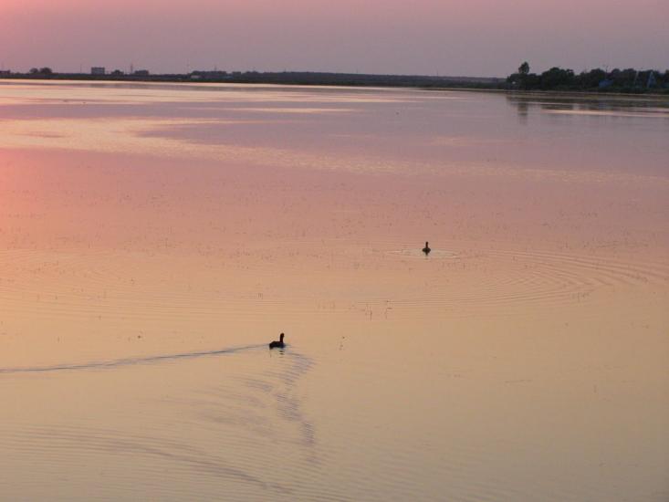 Лиман з panoramio.com - Лиман