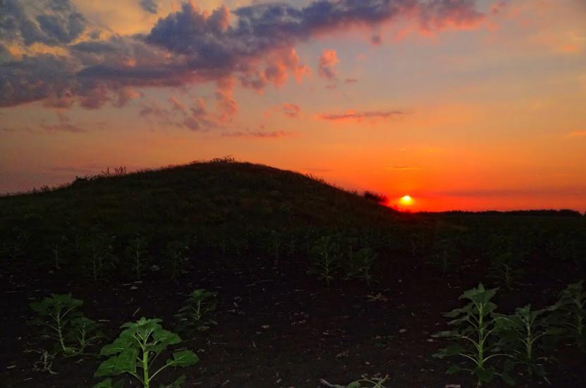 Новозванівка з panoramio.com - Novozvanivka