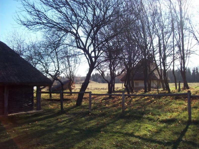 Новосілки з panoramio.com - Новоселки