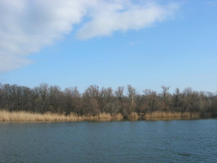 Райгородок з panoramio.com - Raygorodok