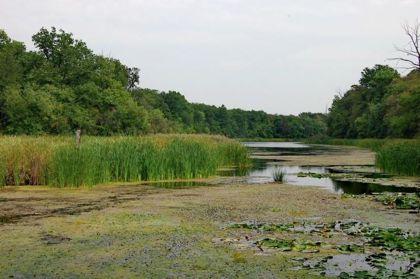 Дронівка з panoramio.com - Dronivka