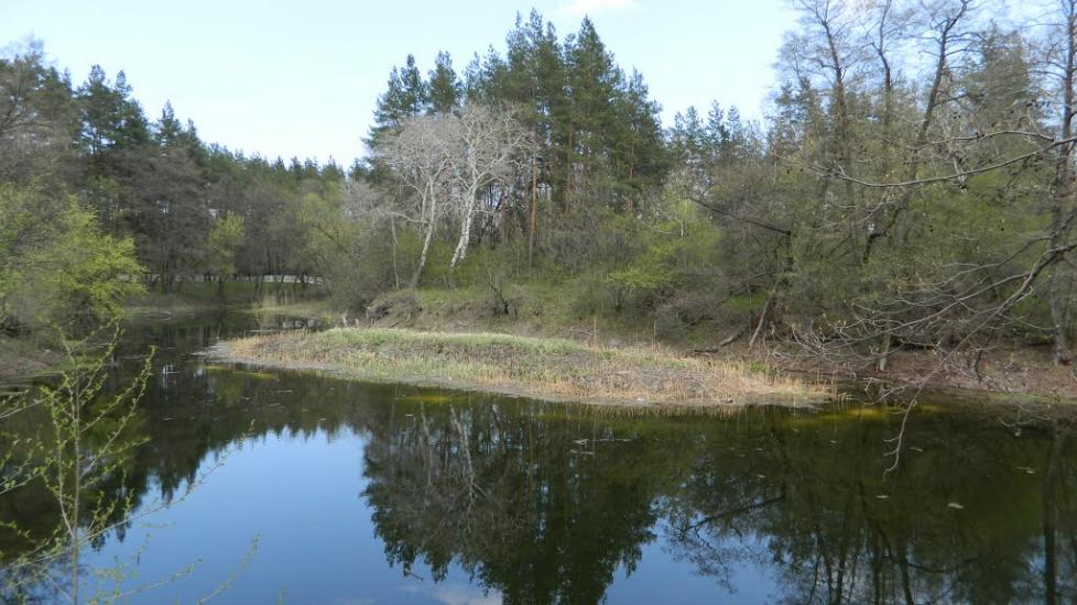 Брусівка з panoramio.com - Брусовка