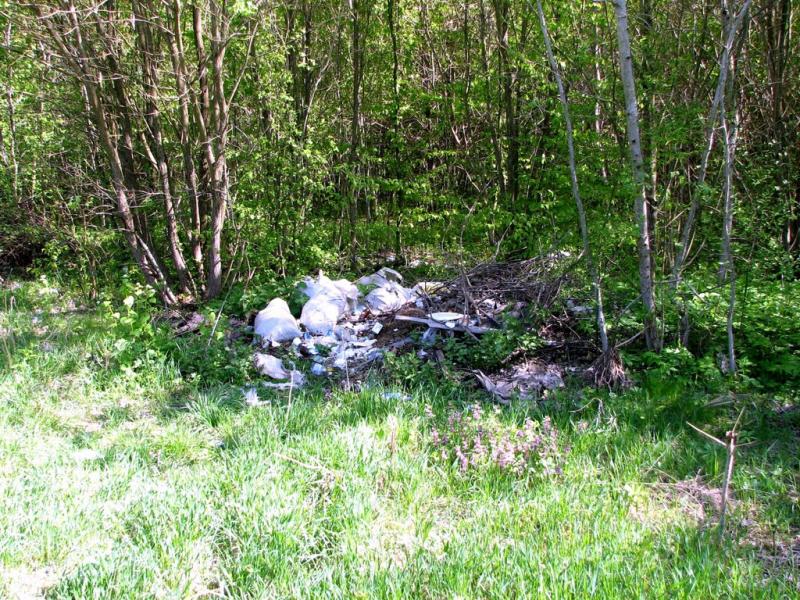 Бахматівці з panoramio.com - Bakhmativtsi