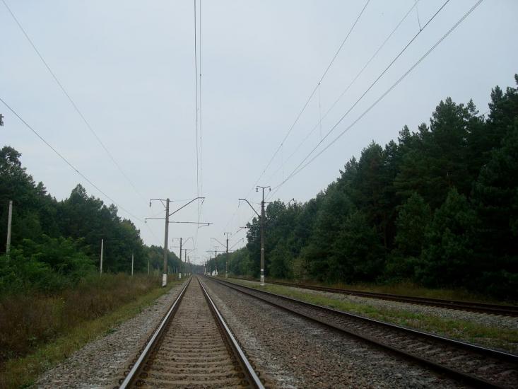 Цвітоха з panoramio.com - Цветоха