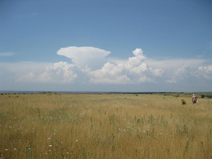 Рєпіне з panoramio.com - Рєпіне