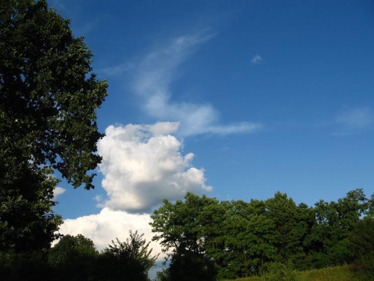 Хоменки з panoramio.com - Хоменки