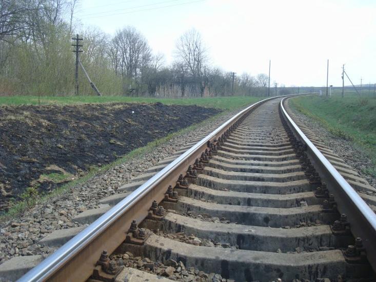 Лісова Волиця з panoramio.com - Лесовая Волица