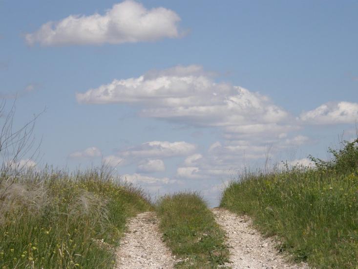 Пришиб з panoramio.com - Пришиб