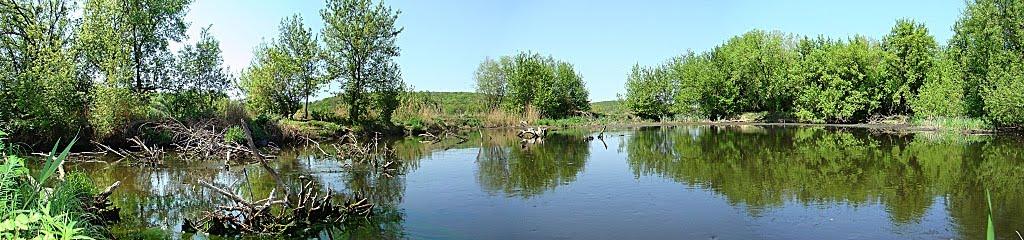 Хорошеве з panoramio.com - Хорошево