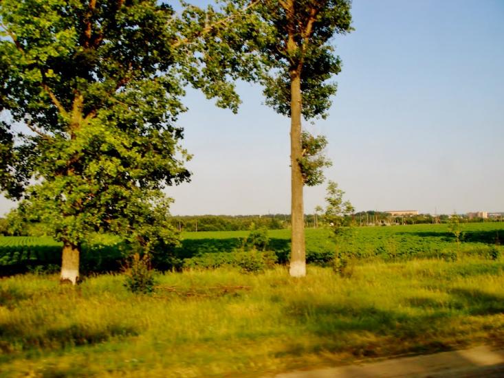 Звенигородка з panoramio.com - Звенигородка