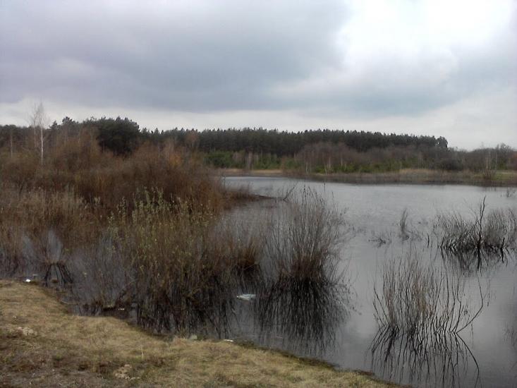 Халявин з panoramio.com - Халявин