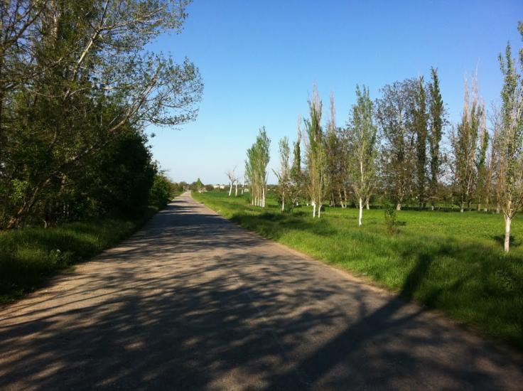 Жемчужина з panoramio.com - Жемчужина