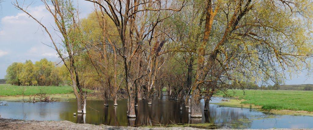 Мохнач з panoramio.com - Мохнач