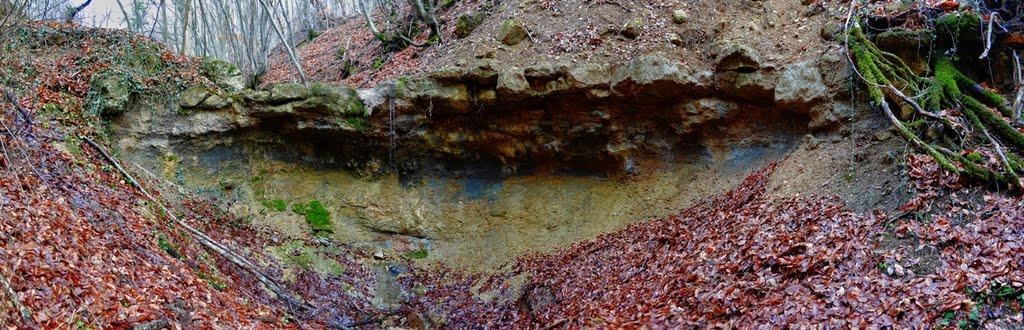 Високе з panoramio.com - Высокое