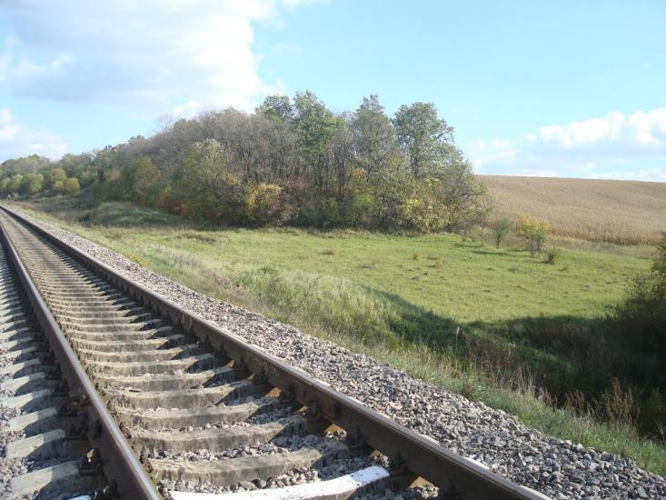 Заруддя з panoramio.com - Заруддя