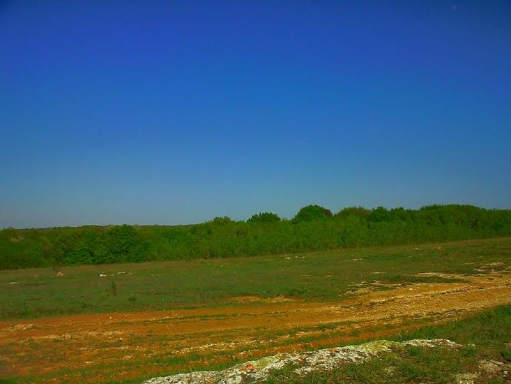 Дружне з panoramio.com - Дружное