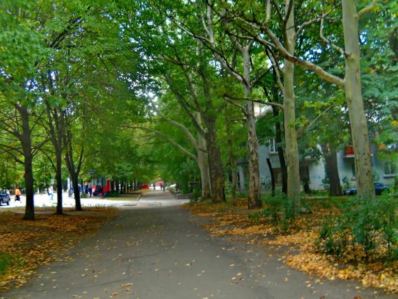 Володимирівське з panoramio.com - Владимирское