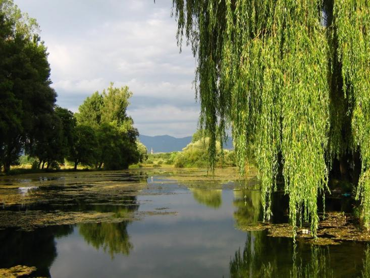 Біла Церква з panoramio.com - Біла Церква