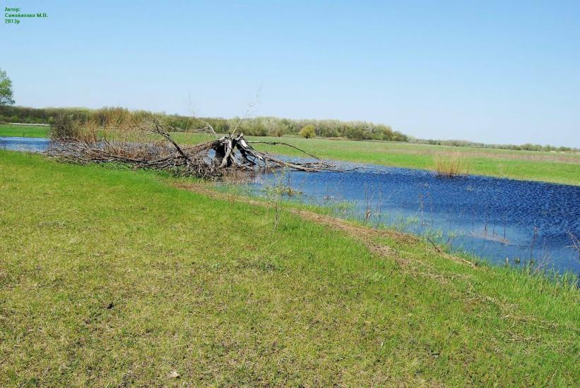 Плавні з panoramio.com - Плавни