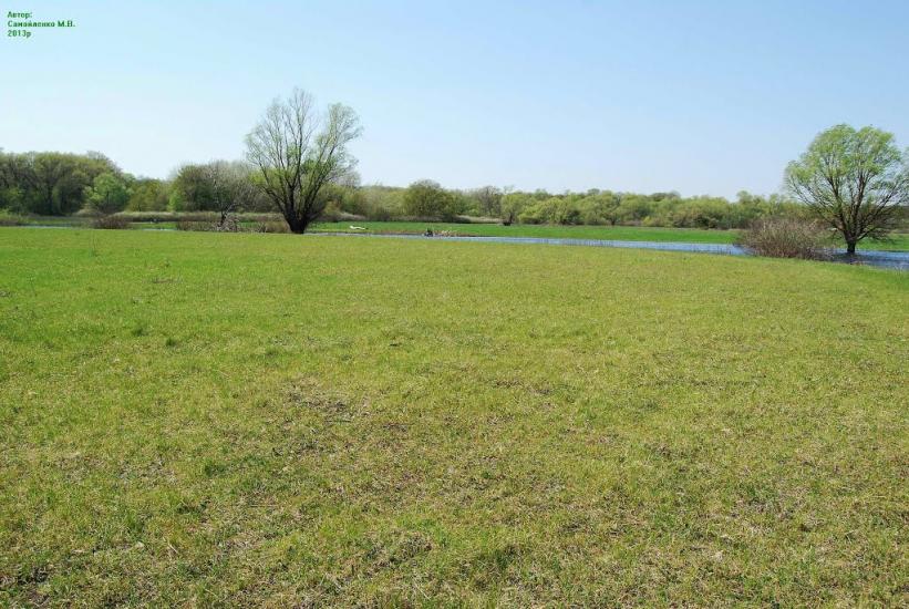 Плавні з panoramio.com - Плавни
