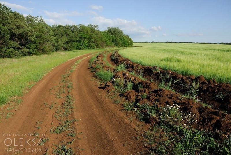 Вікторівка з panoramio.com - Viktorivka