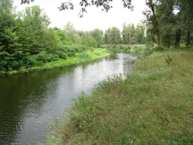 Глоди з panoramio.com - Глоди