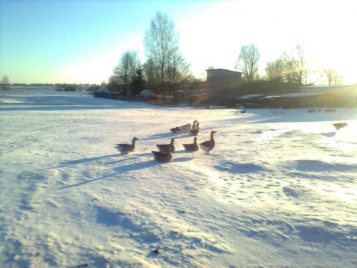 Городець з panoramio.com - Городець