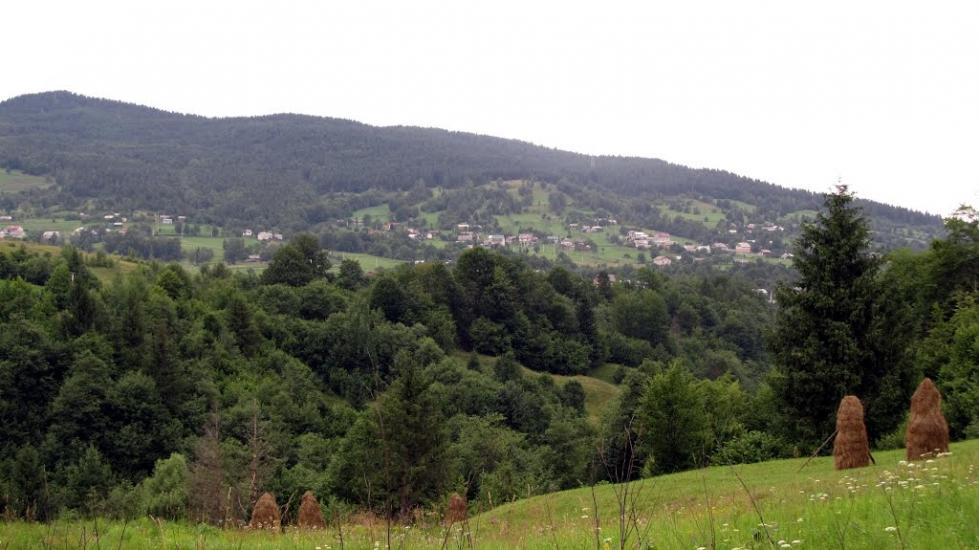 Кричка з panoramio.com - Кричка