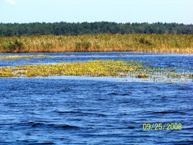 Пулемець з panoramio.com - Пулемець