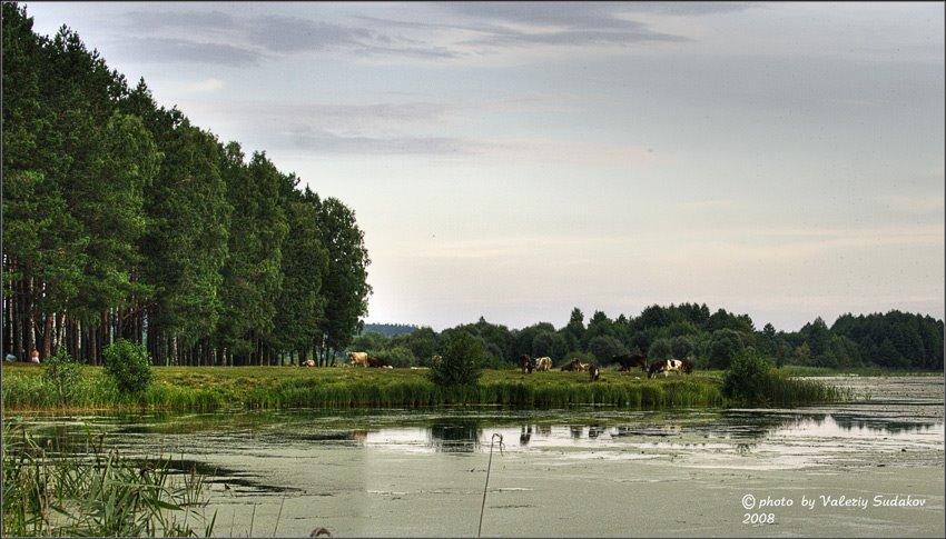 Макове з panoramio.com - Маково