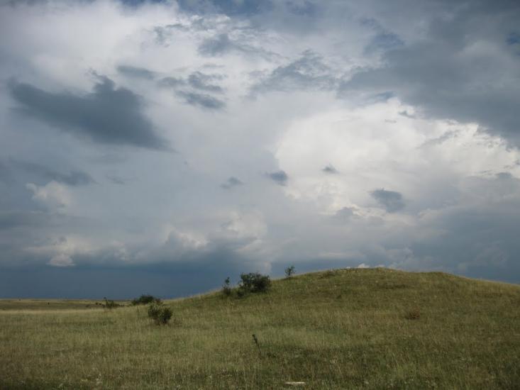 Рєпіне з panoramio.com - Рєпіне