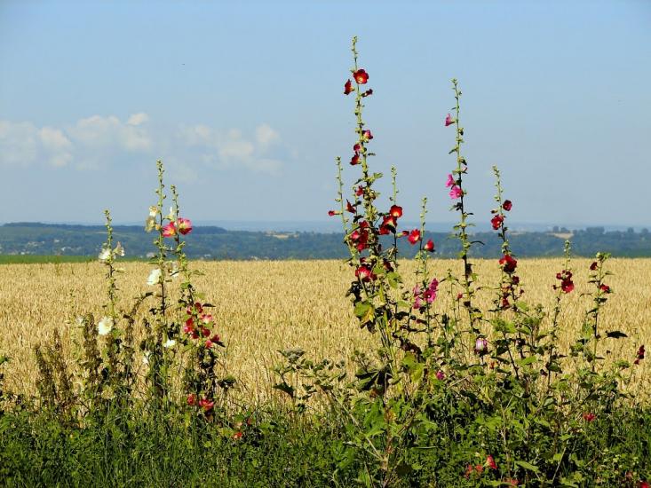 Бабин з panoramio.com - Бабин