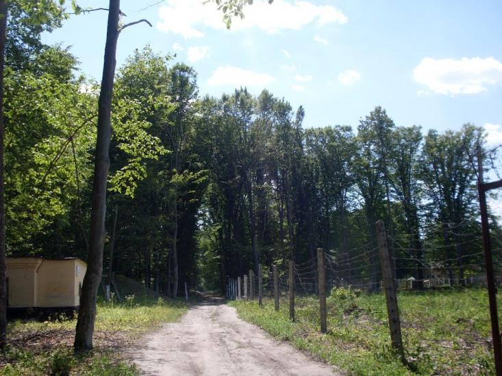 Городок з panoramio.com - Городок